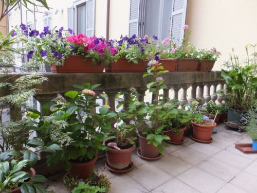 16 venerdi terazzo.jpg