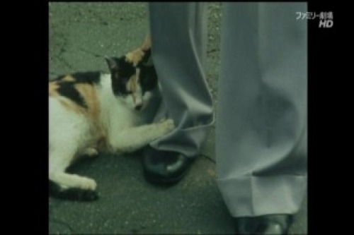 PDVD_013.jpg