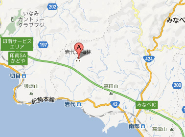 岩代大梅林 地図