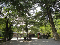 霧島20.jpg