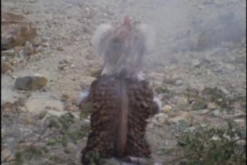 PDVD_019.jpg