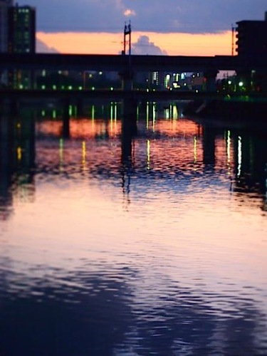 th_PB150583.jpg