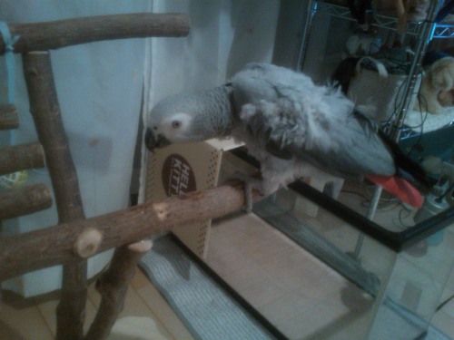 4 待ちに待った･･スタンド♪.JPG