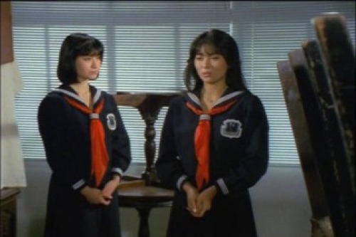 PDVD_117.jpg