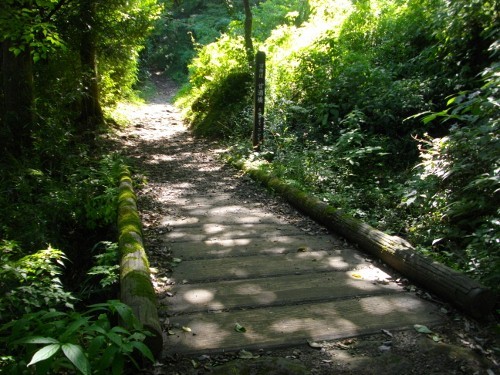 東海道箱根宿須雲川自然探勝歩道甘酒橋 (500x375).jpg