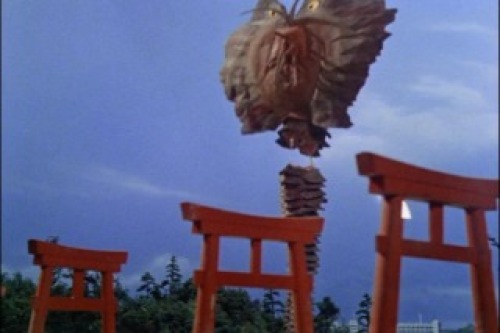 PDVD_031.jpg