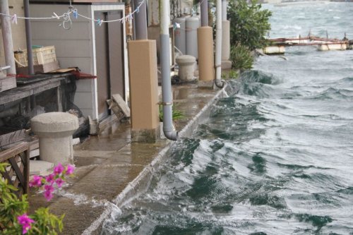 2012年９月１７日１６号店裏 033.jpg