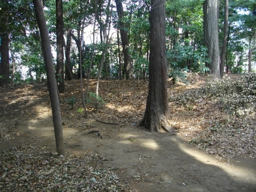 志村城土塁 (500x375).jpg