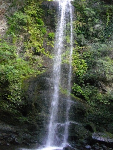 金時山夕日の滝 (2) (375x500).jpg