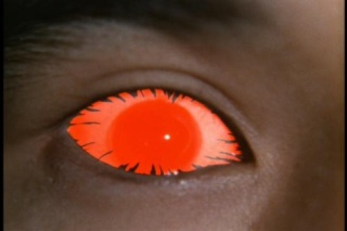 PDVD_009.jpg