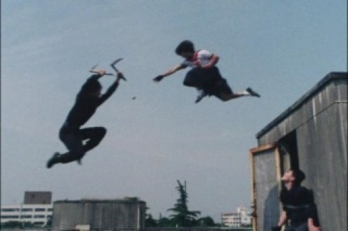 PDVD_039.jpg