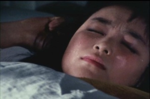 PDVD_010.jpg
