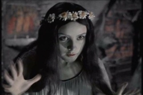 PDVD_025.jpg