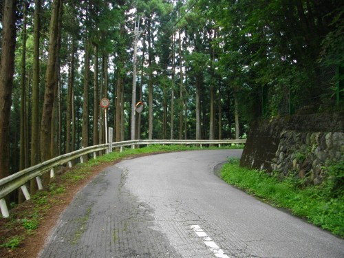 正丸峠旧道 (1) (500x375).jpg