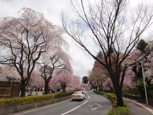 榴岡12.jpg