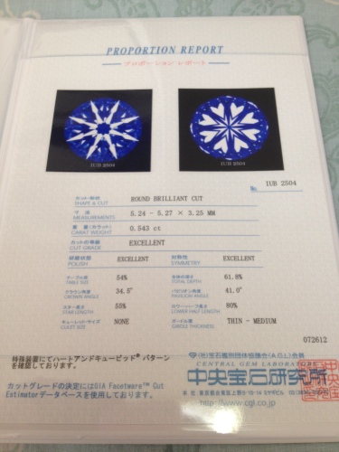 201209142247_8251_iphone.jpg