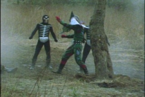 PDVD_066.jpg