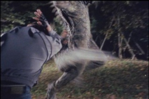 PDVD_024.jpg