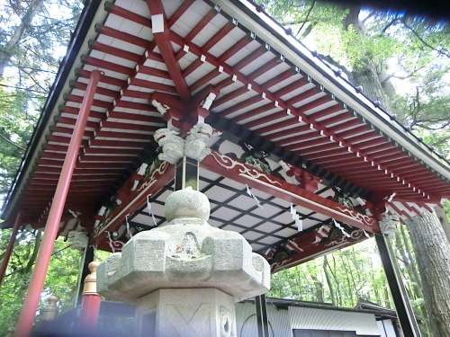 CIMG8489.JPG