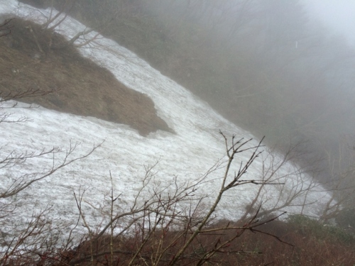 IMG_9277 (640x480).jpg