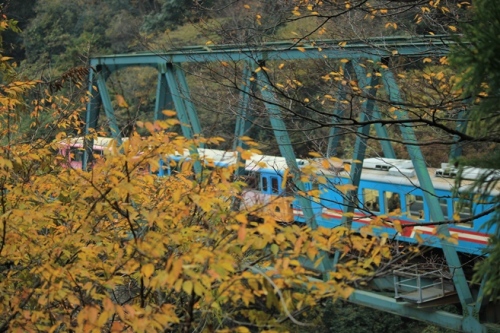 IMG_4616.jpg 1129.jpg