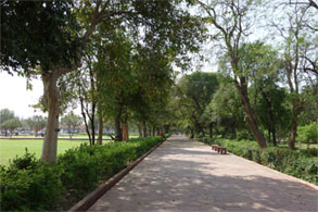 インド381.jpg