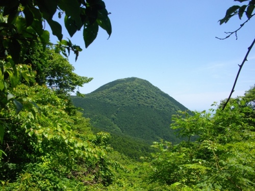 矢倉岳遠景.JPG