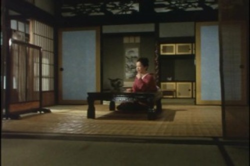 PDVD_016.jpg