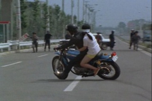 PDVD_009.jpg
