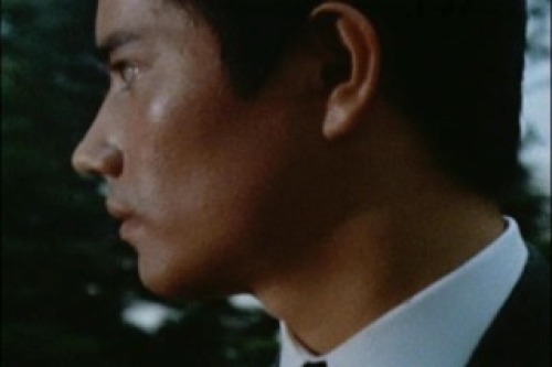 PDVD_003.jpg