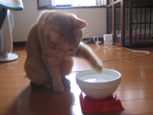 August 17, 2013(10).JPG