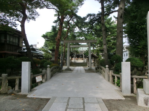 CIMG8445.JPG