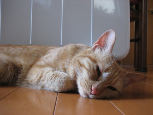 Jan. 07, 2014(10).JPG