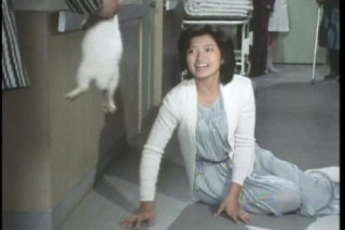 PDVD_049.jpg
