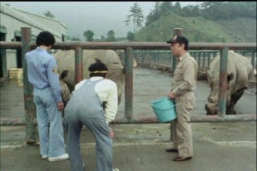 PDVD_017.jpg