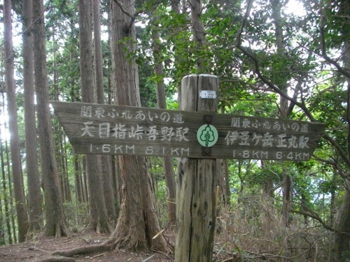 伊豆ヶ岳指導標 (500x375).jpg