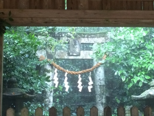 IMG_2856 (640x480).jpg