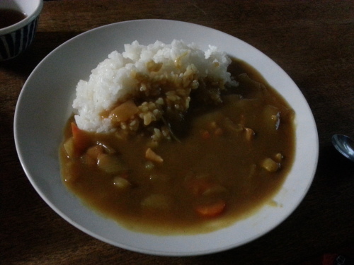 薬師カレー.jpg