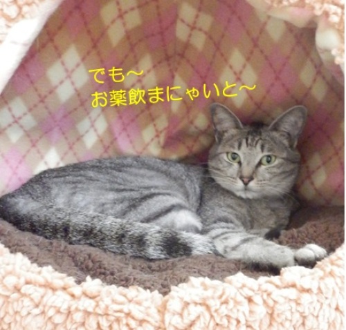 20150704_6.jpg