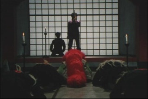PDVD_026.jpg