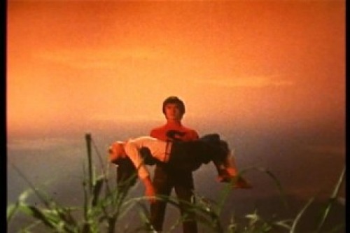 PDVD_013.jpg