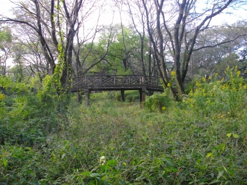 片倉城本丸空堀 (500x375).jpg