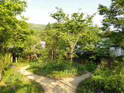 土佐山13.jpg