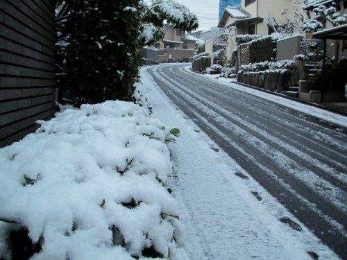 雪の朝.JPG