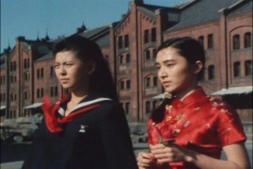 PDVD_032.jpg