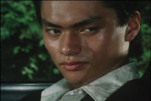 PDVD_004.jpg