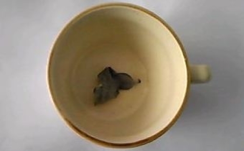 お湯を入れる前.jpg