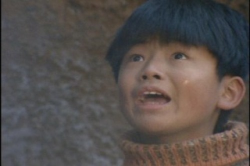 PDVD_015.jpg