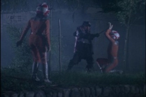 PDVD_006.jpg