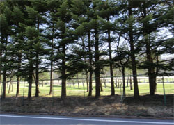 軽井沢2.jpg